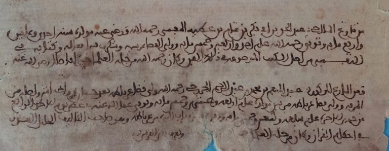 نقلا عن تاريخ أبي القاسم محمد بن عبد الواحد الغافقي الملاحي الغرناطي (ت 619 هـ)